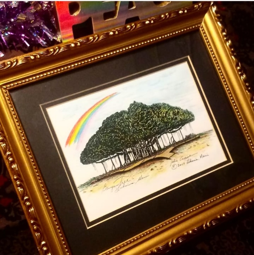 Banyon tree rainbow picture wall art